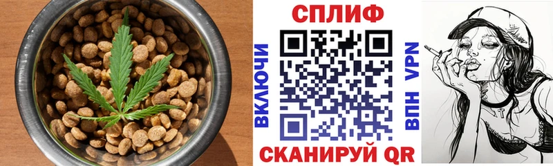 купить наркотики цена  Славгород  darknet формула  Canna-Cookies марихуана 