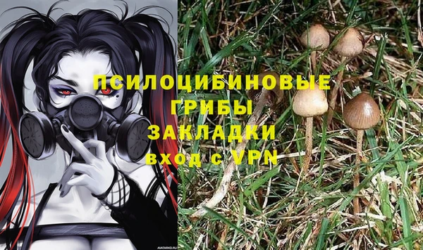 винт Белокуриха