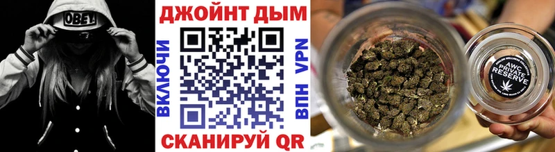 где продают   Славгород  Марихуана сатива 